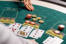 23bet8 com
