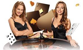 23bet8 com